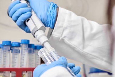Mavi lastik eldivenli bir kimyager ya da bilim adamı otomatik pipet kullanarak falcone tüplerinden örnek topluyor. Arka planda test tüpleriyle rafa kaldır. Araştırma laboratuarı. Geliştirme