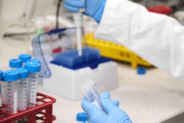 Mavi lastik eldivenli bir kimyager ya da bilim adamı otomatik pipet kullanarak falcone tüplerinden örnek topluyor. Arka planda test tüpleriyle rafa kaldır. Araştırma laboratuarı. Geliştirme