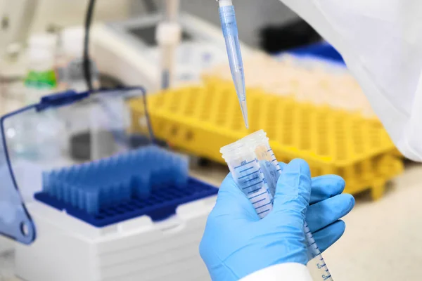 Químico o científico con guantes de goma azul recogiendo muestras de trompas de halcón usando pipeta automática. Bastidor con los tubos de ensayo en el fondo. Laboratorio de investigación. Desarrollo de — Foto de Stock