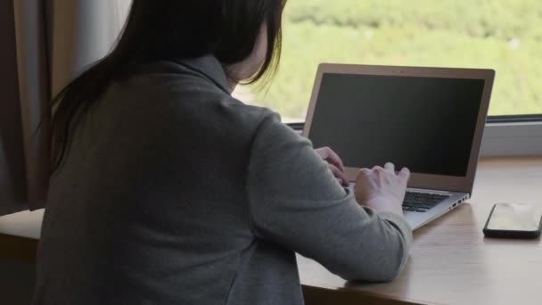 Женщина работает на ноутбуке с удивительным пейзажем в окне во время карантина. — стоковое видео