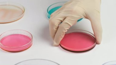 Renkli Petri kaplarının ve plastik eldivenli kimyagerlerin üzerinden uçmak kan örneklerini analiz için bırakır.