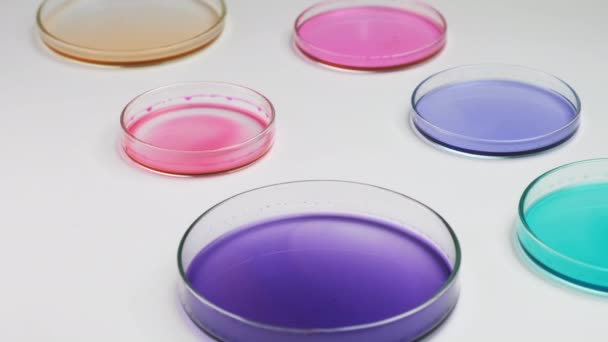Volar sobre placas de Petri con medios de agar de colores para el cultivo de bacterias en el laboratorio microbiológico. — Vídeos de Stock