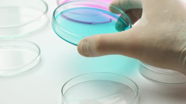 Químico sacude muestras en placa Petri. — Vídeo de stock