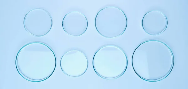 Посуда Петри разного размера для биохимического анализа на синем фоне — стоковое фото