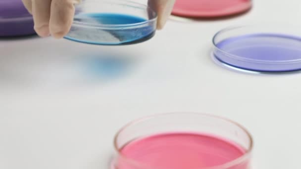 Moviéndose sobre placas Petri y químico poniendo muestras para el análisis microquímico. — Vídeo de stock