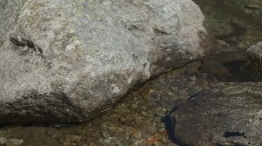 Göl kıyısında yoga yapan bir kadın. Şelale ve dağların manzarası harika.. 