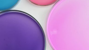 Mikrobiyoloji laboratuvarında bakteri yetiştirmek için renkli tarım araçlarıyla Petri kaplarının üzerinden uç. 