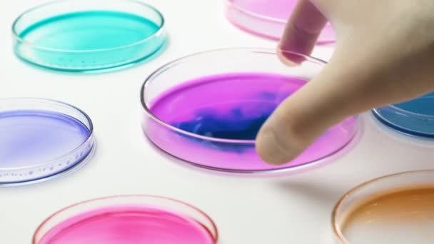Χημικός ανακινεί δείγματα σε τρυβλίο Petri. — Αρχείο Βίντεο