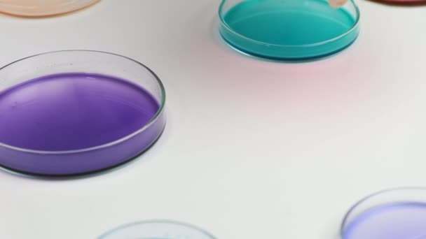 Movendo-se sobre placas de Petri e química muda amostras em análise microquímica. — Vídeo de Stock
