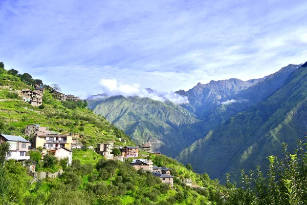 Bosque Verde Del Paisaje Una Caminata Las Montañas Del Himalaya — Foto de Stock