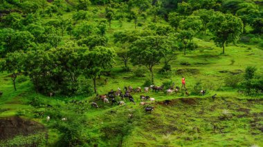 Çoklu Yerlerden Güzel Hindistan Demiryolu Yolculuğu