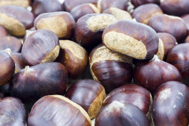 makro ayrıntı Kazıklı, kestane ağacı meyve sezon, toplanan, yığılmış