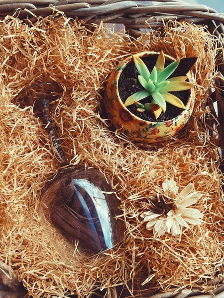 Büyü ve çiçeği flaş