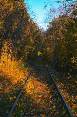 Güneş wow yürüyüş