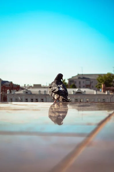 Sonsuza kadar yalnız ve mavi gökyüzü