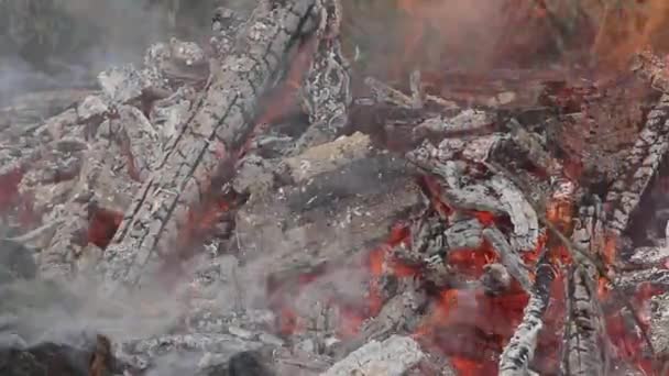 Μεγάλη Φωτιά Και Καπνό Από Την Πυρκαγιά Closeup Τηγάνι Οριζόντιο — Αρχείο Βίντεο