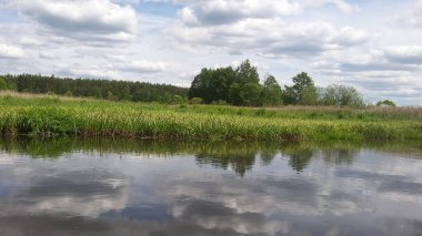 Yaz nehir. Nehir kıyısında güneşli gün.