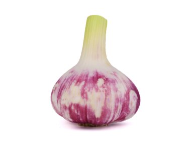 Taze sarımsak ampul izole. 