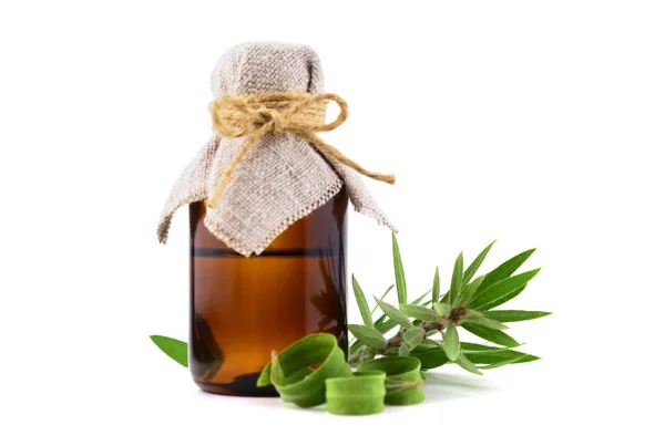 Olio Essenziale Melaleuca Contenitore Vetro Isolato Sfondo Bianco Con Tea — Foto Stock