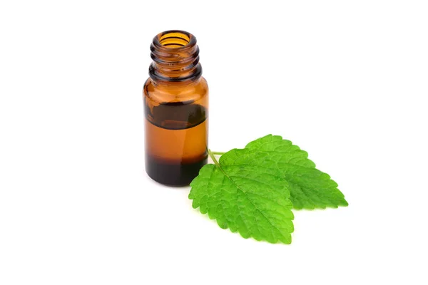 Lemon Balm Melissa Essential Oil Bottle Also Melissa Officinalis Common — Stock Photo, Image