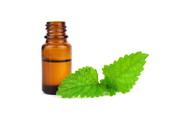 Lemon Balm (Melissa) Essential Oil in a Bottle. Also Melissa Officinalis, Common Balm Mint. Isolated on White Background.