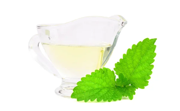 Lemon Balm Melissa Essential Oil Glass Container Also Melissa Officinalis — Stock Photo, Image