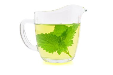 Oğul otu (Melissa) bir cam bardak bitkisel çay. Ayrıca Melissa Officinalis, ortak melisa nane. Beyaz arka plan üzerinde izole.