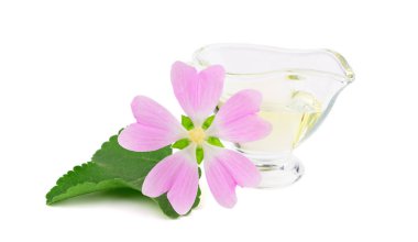 Althaea Officinalis tıbbi bitki bitki uçucu yağ cam kap içinde. Ayrıca bataklık ebegümecinin, bataklık ebegümecinin veya ortak Marshmallow. Beyaz arka plan üzerinde izole.