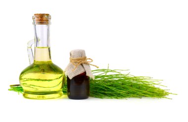 Ortak at kuyruğu tıbbi bitki bitki. Saf esansiyel yağı özü ve infüzyon tentür ilaç şişe. Ayrıca Equisetum Arvense. Beyaz arka plan üzerinde izole.