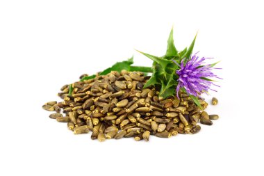 Beyaz arka plan üzerinde izole Süt Thistle tohumları.