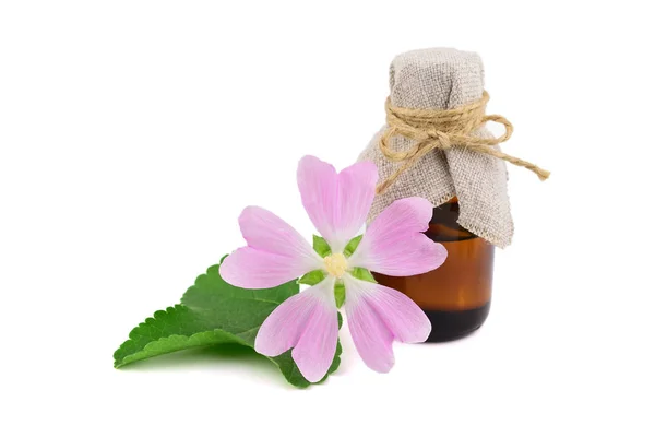 Althaea Officinalis Heilkräuterpflanze Ätherisches Oder Medikamentenextrakt Einer Medizinischen Flasche Auch — Stockfoto