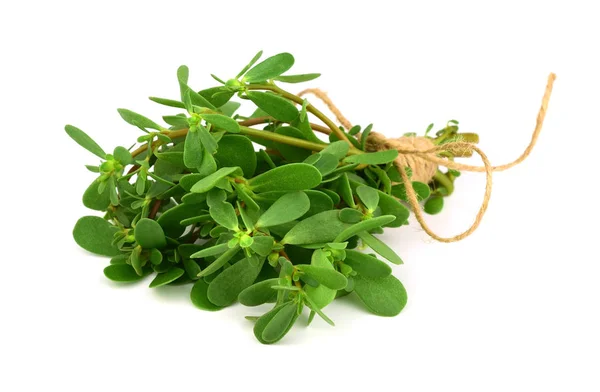 Rainey Day Jordan erotik fotosuratlari