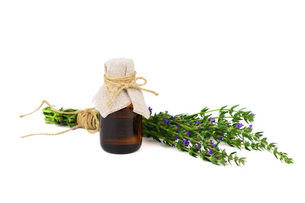 Hyssop Herb Plant Medicinal Bottle Essential Oil Hyssopus Officinalis Isolated — Stock Photo, Image