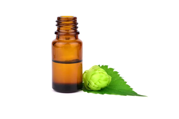 Hop Hops Medicinal Plant Extract Glass Bottle Humulus Lupulus Essential — Stock Photo, Image