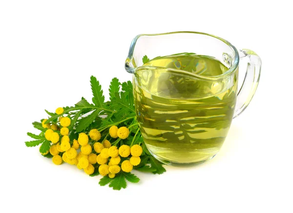 Tansy Tisane Teinture Dans Verre Également Tanacetum Vulgare Common Tansy — Photo