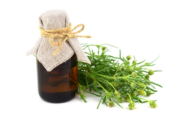 Psyllium Plantago Ispaghula Medicinal Herb Plant Liquid Extract Aislado Sobre — Foto de Stock