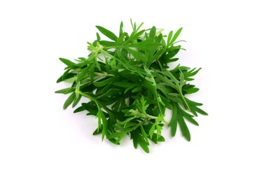 İzole Artemisia tıbbi bitki bitki yaprakları kaynaklanıyor ve çırpı. Ayrıca Pelin, pelin ve adaçayı.