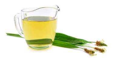 Dar yapraklı sinirli ot özü tentür çay izole.