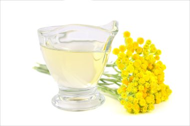 İzole Helichrysum Arenarium ayıklamak infüzyon tentür petrol (cüce Everlast, rengi bozulmayan çiçek çiçek).