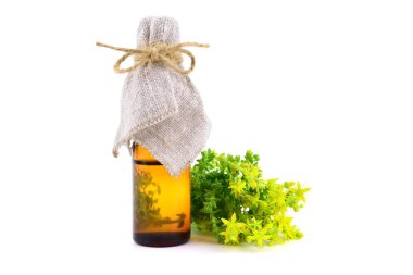 İzole Stonecrops (bahçedeki) tıbbi bitki bitki tentür ayıklamak.