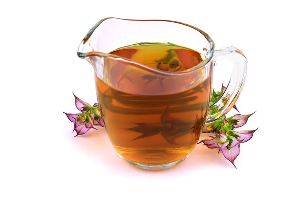 Clary Sage Salvia Sclarea Medicinal Herb Plant Tincture Extract Tea — Stock Photo, Image