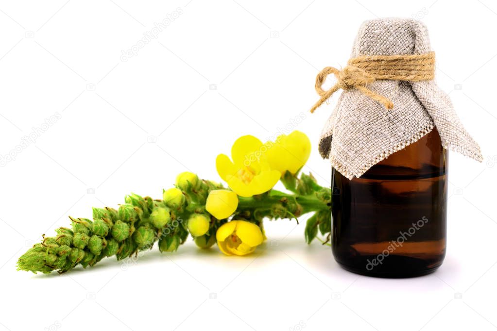 Isolated Verbascum Thapsus Herbal Tincture Extract. Also Great, Common, Woolly, Velvet or Blanket Mullein. Also Beggar's, Moses', Poor Man's, Our Lady's or Old Man's blanket, Feltwort or flannel.