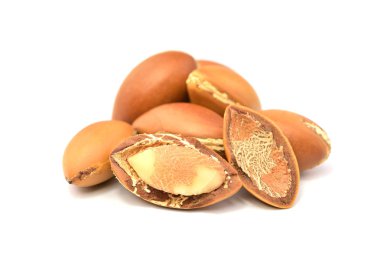 Argan yağı tohum. Beyaz arka plan üzerinde izole.