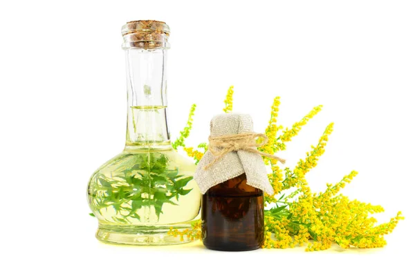 Solidago Goldenrod Medicinal Herb Plant Essential Oil Extract Isolado Fundo — Fotografia de Stock