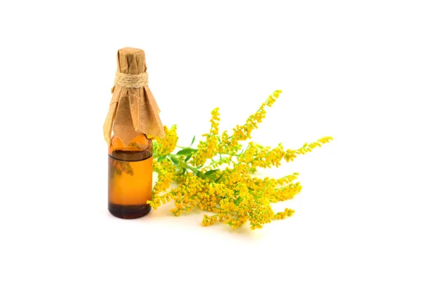 Solidago Goldrute Heilpflanze Ätherisches Extrakt Isoliert Auf Weißem Hintergrund — Stockfoto