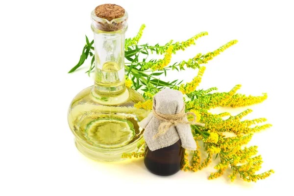 Extracto Aceite Esencial Hierbas Medicinales Solidago Goldenrod Aislado Sobre Fondo — Foto de Stock