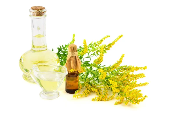 Solidago Goldenrod Medicinal Herb Plant Essential Oil Extract Isolated White — Stock Photo, Image