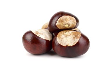 Horsechestnut Aesculus Hippocastanum tohum izole. Ayrıca at kestanesi ya da sincap ağaç.