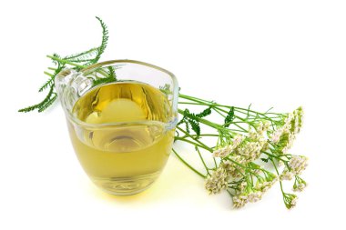 İzole Civanperçemi (Achillea Millefolium) tıbbi çiçek bitki tentür Extract çay.