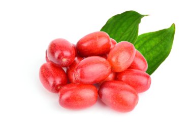 Cornus mutfak ve şifalı bitki bitki meyve ve yaprakları. Aynı zamanda kızılcık kiraz, kızılcık, Avrupa Cornel veya Cornus Mas. Beyaz arka plan üzerinde izole.